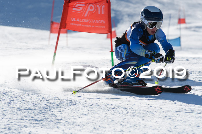 Ziener Kids-Cross M/OL U12 Race Cross III + II