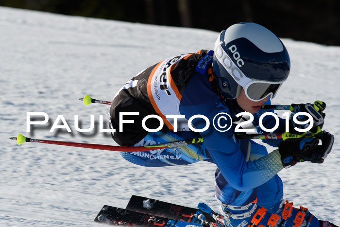 Ziener Kids-Cross M/OL U12 Race Cross III + II