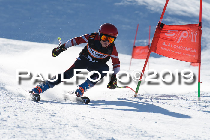 Ziener Kids-Cross M/OL U12 Race Cross III + II