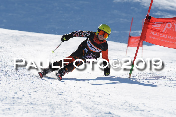 Ziener Kids-Cross M/OL U12 Race Cross III + II