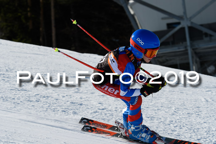 Ziener Kids-Cross M/OL U12 Race Cross III + II
