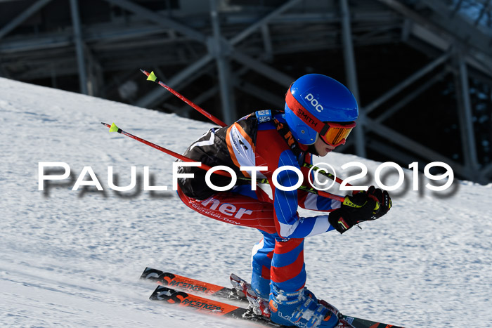 Ziener Kids-Cross M/OL U12 Race Cross III + II