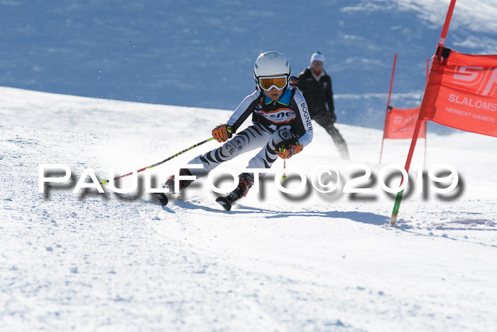 Ziener Kids-Cross M/OL U12 Race Cross III + II