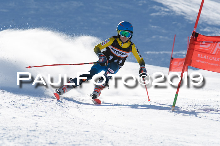 Ziener Kids-Cross M/OL U12 Race Cross III + II