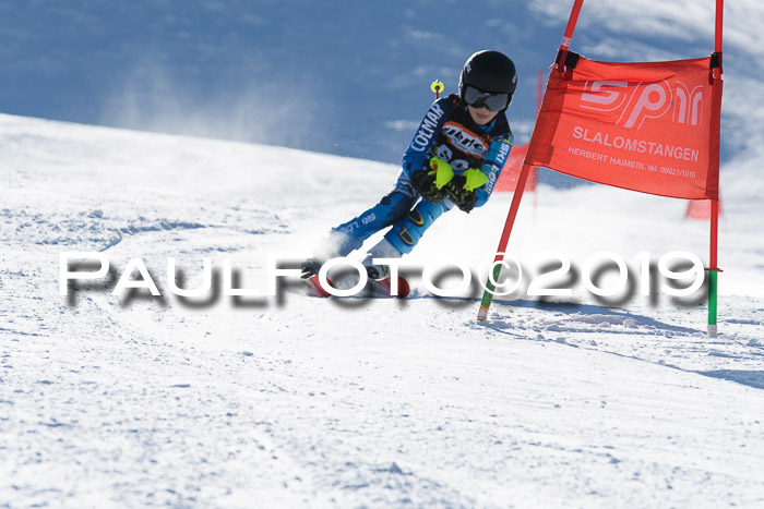 Ziener Kids-Cross M/OL U12 Race Cross III + II