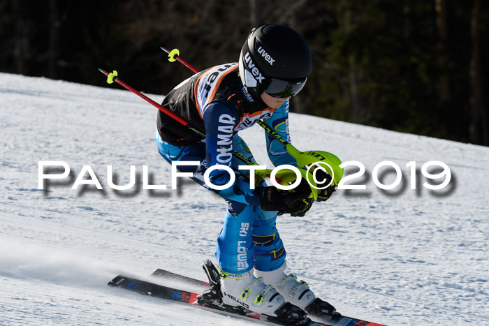 Ziener Kids-Cross M/OL U12 Race Cross III + II