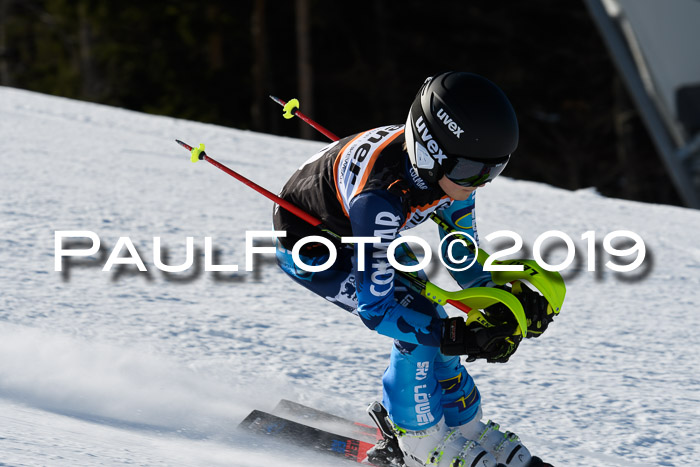 Ziener Kids-Cross M/OL U12 Race Cross III + II