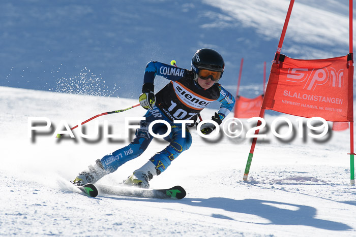 Ziener Kids-Cross M/OL U12 Race Cross III + II