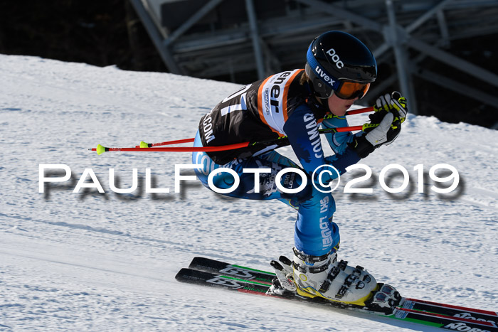 Ziener Kids-Cross M/OL U12 Race Cross III + II