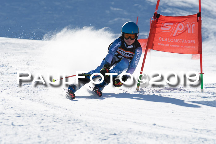 Ziener Kids-Cross M/OL U12 Race Cross III + II