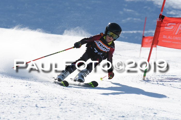 Ziener Kids-Cross M/OL U12 Race Cross III + II