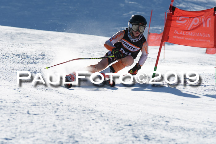 Ziener Kids-Cross M/OL U12 Race Cross III + II