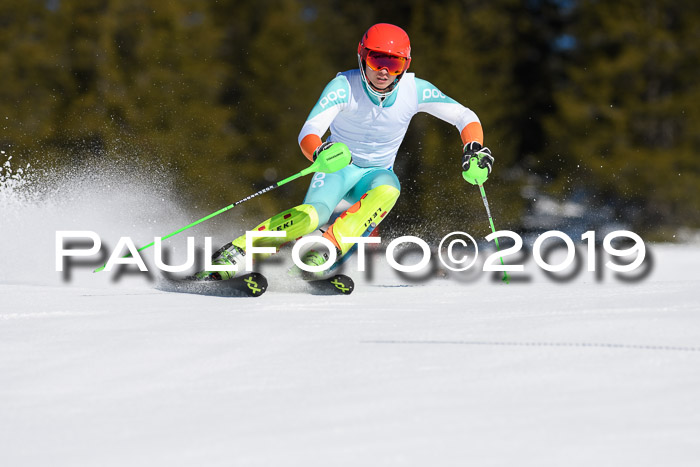 SVM U14/U16 Slalom 17.02.2019