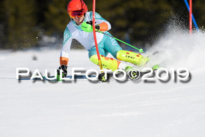 SVM U14/U16 Slalom 17.02.2019