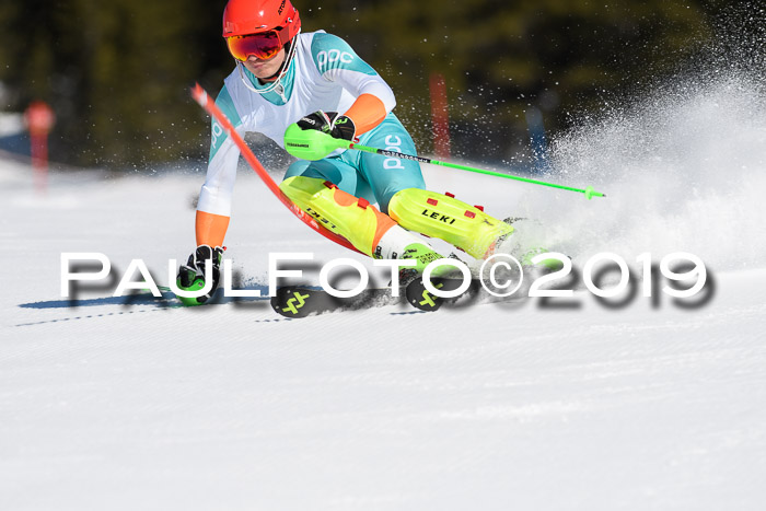 SVM U14/U16 Slalom 17.02.2019