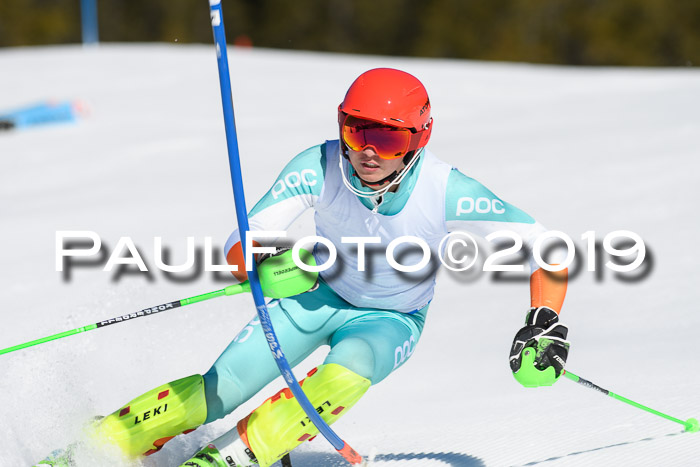 SVM U14/U16 Slalom 17.02.2019