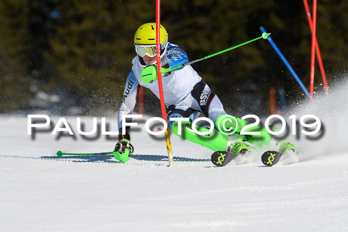 SVM U14/U16 Slalom 17.02.2019