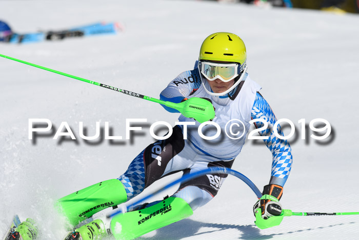 SVM U14/U16 Slalom 17.02.2019