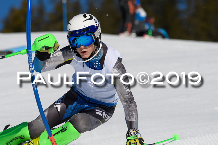 SVM U14/U16 Slalom 17.02.2019