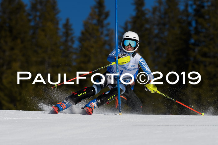 SVM U14/U16 Slalom 17.02.2019