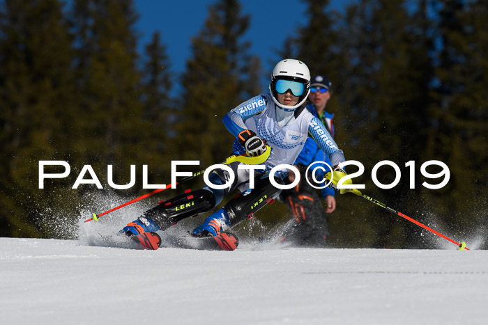 SVM U14/U16 Slalom 17.02.2019