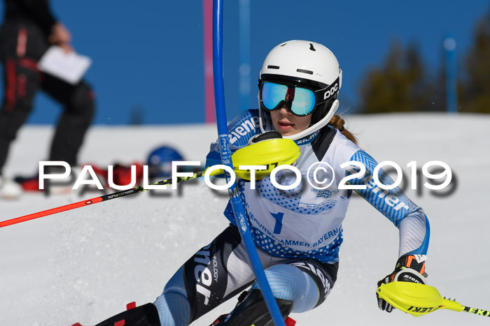 SVM U14/U16 Slalom 17.02.2019