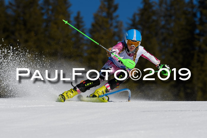 SVM U14/U16 Slalom 17.02.2019