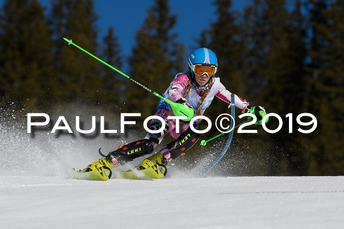 SVM U14/U16 Slalom 17.02.2019