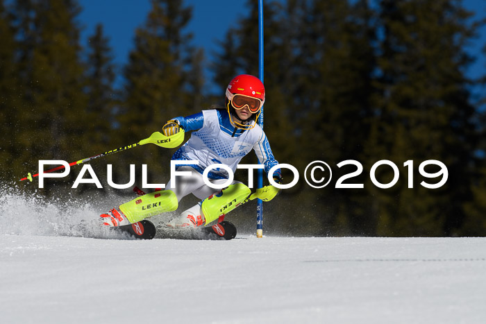 SVM U14/U16 Slalom 17.02.2019