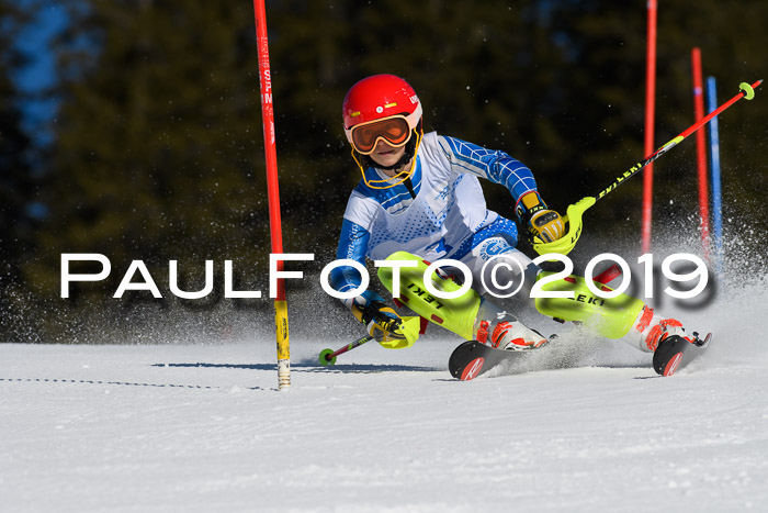 SVM U14/U16 Slalom 17.02.2019