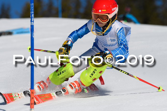 SVM U14/U16 Slalom 17.02.2019