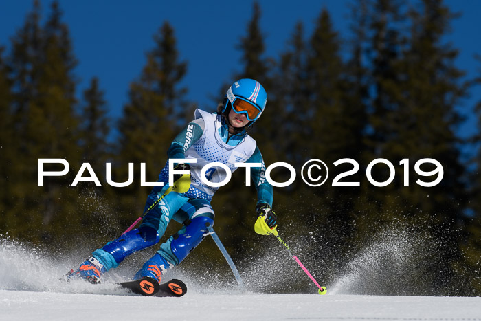 SVM U14/U16 Slalom 17.02.2019