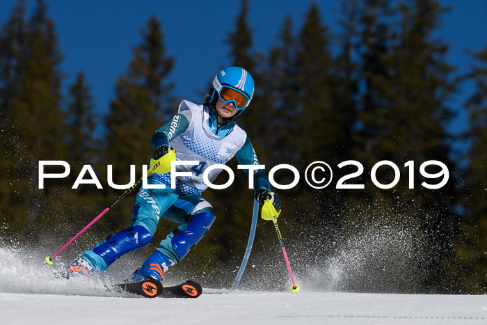 SVM U14/U16 Slalom 17.02.2019