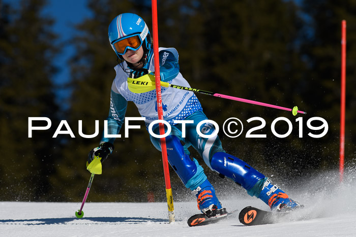 SVM U14/U16 Slalom 17.02.2019