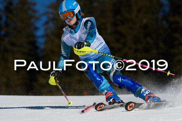 SVM U14/U16 Slalom 17.02.2019