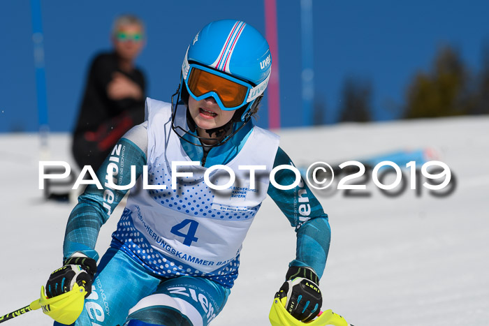 SVM U14/U16 Slalom 17.02.2019