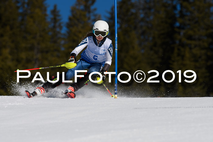 SVM U14/U16 Slalom 17.02.2019