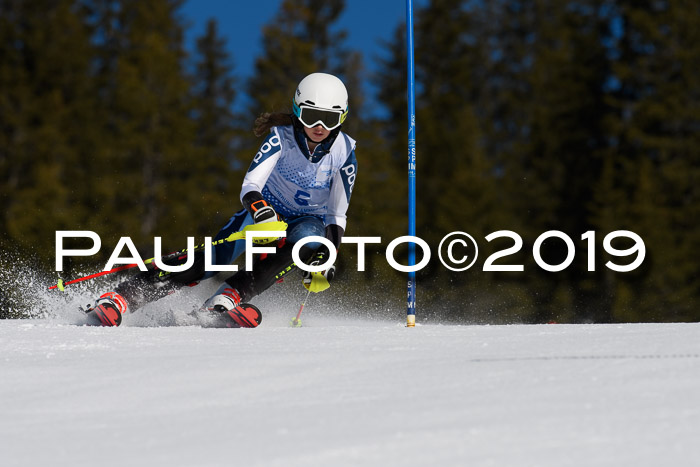 SVM U14/U16 Slalom 17.02.2019