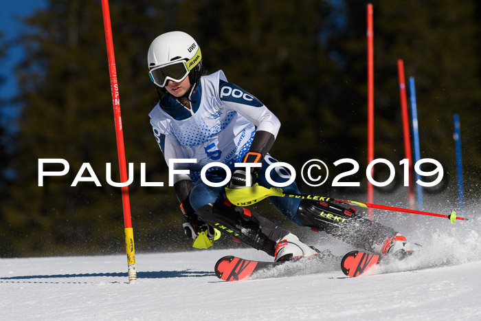 SVM U14/U16 Slalom 17.02.2019