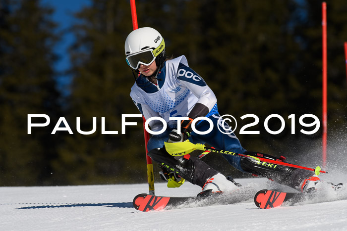 SVM U14/U16 Slalom 17.02.2019