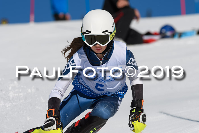 SVM U14/U16 Slalom 17.02.2019