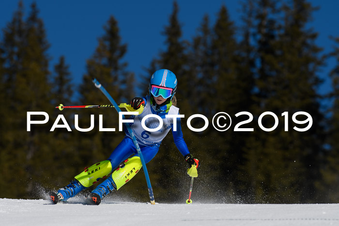 SVM U14/U16 Slalom 17.02.2019