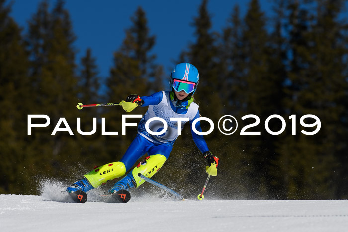 SVM U14/U16 Slalom 17.02.2019