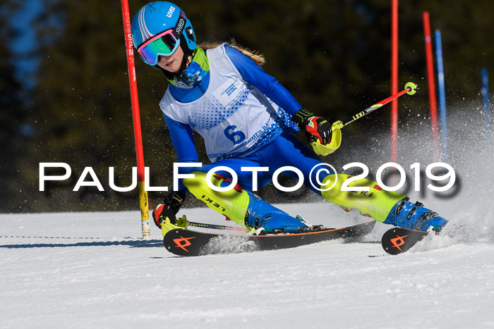 SVM U14/U16 Slalom 17.02.2019