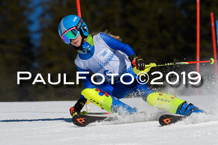 SVM U14/U16 Slalom 17.02.2019