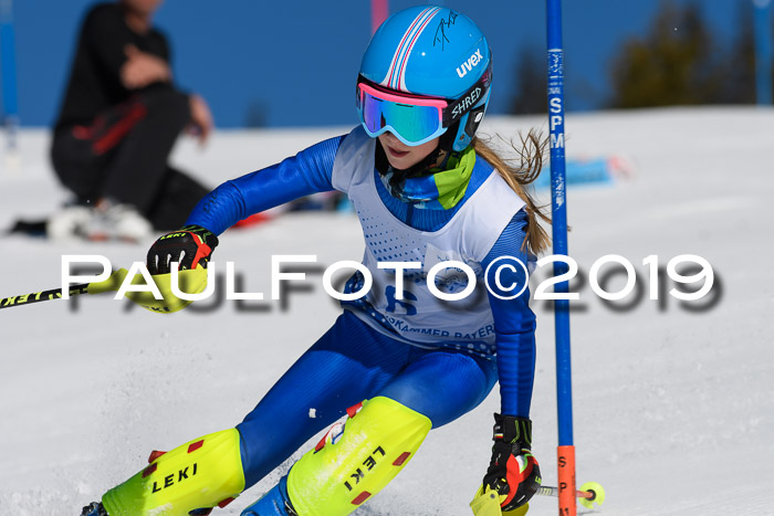 SVM U14/U16 Slalom 17.02.2019