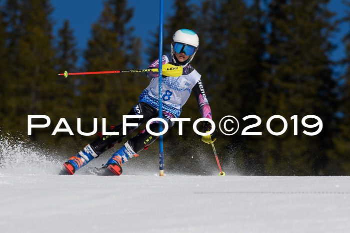 SVM U14/U16 Slalom 17.02.2019