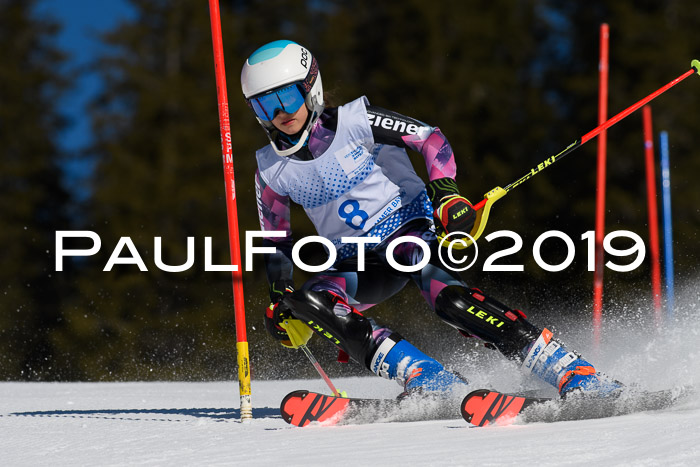 SVM U14/U16 Slalom 17.02.2019