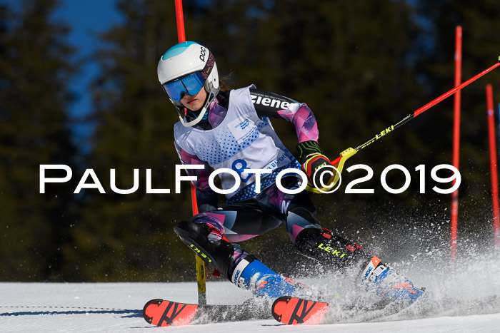 SVM U14/U16 Slalom 17.02.2019
