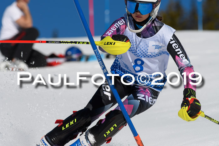 SVM U14/U16 Slalom 17.02.2019